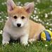 Profile Picture of Eva Tobar (@eva.tobar.3133) on Facebook