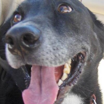 Profile Picture of Greg Weis (@GregWeis2) on Twitter
