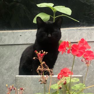 Profile Picture of Jordan John-Hope (@hopesigh) on Instagram