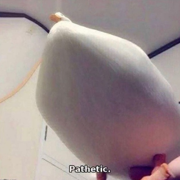 Profile Picture of Kai Roughton (@lettuce69) on Poshmark