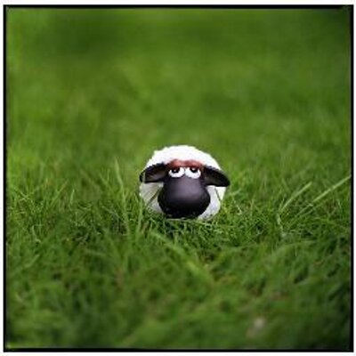 Profile Picture of Neal Dunstan (@gfizik) on Twitter