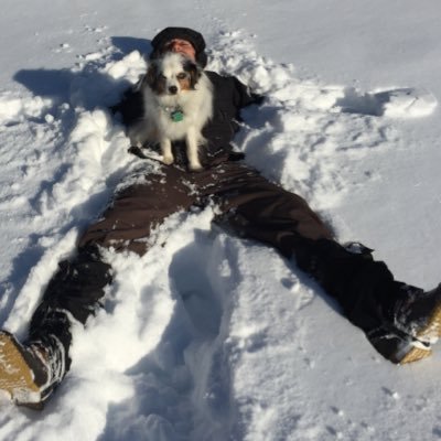 Profile Picture of Jonathan Harms (@HarmsCresa) on Twitter