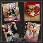 Paula Salisbury - Instagram Profile Picture of Paula Salisbury (@paula2024) on Instagram