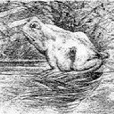 Profile Picture of Maximo Gomez  (@maximog) on Twitter