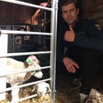 Profile Picture of Tor Erik Eik Ellingsen (@torerikee) on Instagram