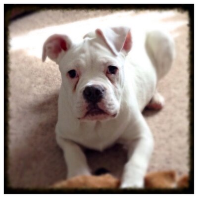 Profile Picture of David Fackler (@DLFack) on Twitter
