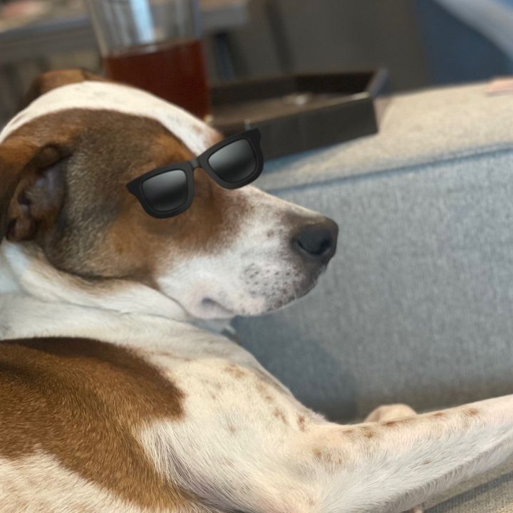 Profile Picture of Thomas Wigand (@twiggles11) on Tiktok