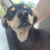 Profile Picture of Candace Poston (@@candaceposton) on Tiktok