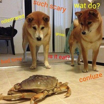 Profile Picture of Tom Frisk (@Tom_Frisk95) on Twitter