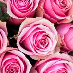 Profile Picture of MD. aslam (@mohammedaslamishrath) on Instagram