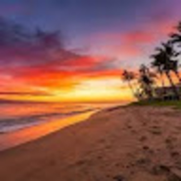 Profile Picture of Kelsey Wallesch (@kelseywallesch) on Poshmark