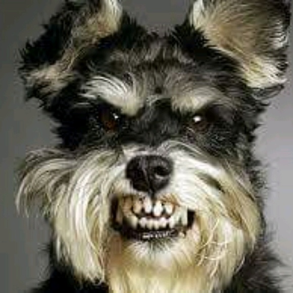 Profile Picture of James Hallman (@jh085530) on Poshmark