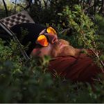 Profile Picture of Johnwilhelm Croona (@johnwilhelmcroona) on Instagram