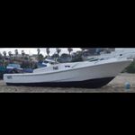 Profile Picture of Robert Stuard (@robert_stuard_yagual_tuarez) on Instagram