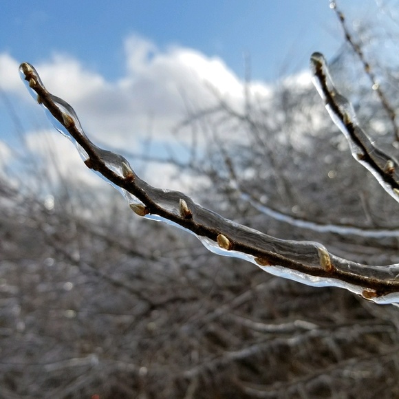 Profile Picture of Allison Bowling (@nstepdance) on Poshmark