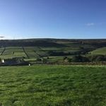 Profile Picture of Peter Morton (@petermorton9103) on Instagram