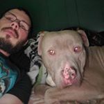 chad - Instagram Profile Picture of chad (@crandallchad91) on Instagram