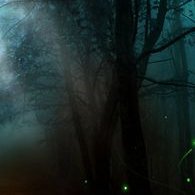 Cassandra Wooten - Twitter Profile Picture of Cassandra Wooten (@CassandraWoot19) on Twitter