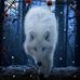 Profile Picture of Matthew P Gautreau (ShiningWolf) (@Matthew-P-Gautreau) on Facebook