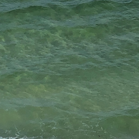 Profile Picture of Donna Addison (@dda74) on Poshmark