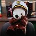 Profile Picture of Jen Kr (@wintermint) on Pinterest