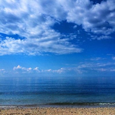 Profile Picture of Scott DiPatria (@ScottDiPatria) on Twitter