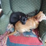 Profile Picture of Adam Deluna (@adam.deluna.79) on Instagram