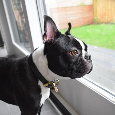 Profile Picture of Catherine Blackwell (@CatBlack441) on Twitter