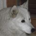 Profile Picture of Doris A. Eberhardt (@dorisaeberhardt) on Pinterest