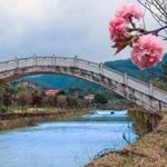 Profile Picture of Lichun Zhang (@zhang_lichun) on Instagram