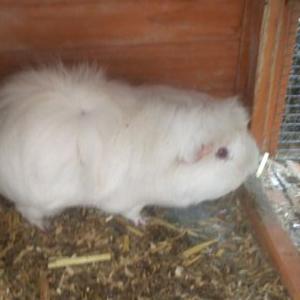 Profile Picture of Annie (@AmeliaThorne4) on Twitter