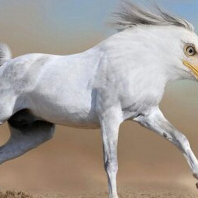 Profile Picture of Chad Chastain (@thebiglachasky) on Twitter