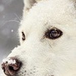 Profile Picture of Давид (@yablontsevai04) on Instagram