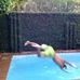 Profile Picture of Bryan Alberto Stasiuk (@bryanalberto.stasiuk.5) on Facebook