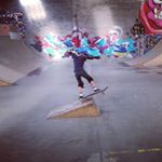 Profile Picture of Mark Tillett (@beeenpole) on Instagram
