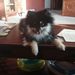 Profile Picture of Emily Myers (@turtle1669) on Pinterest
