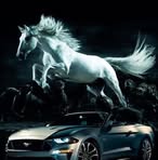 Jakub Lewicki - Facebook Profile Picture of Jakub Lewicki (@Jakub-Lewicki) on Facebook