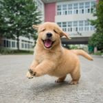 Profile Picture of Geoffrey Park (@ggpark.65) on Instagram