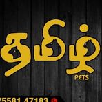 Profile Picture of Tamil Pets (@tamil.pets.1) on Facebook