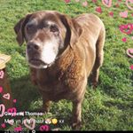 Profile Picture of Gwyneth Thomas (@gwyneth.thomas.5688) on Instagram