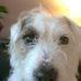 Profile Picture of Peggy Fredriksz (@peggy.fredriksz.96) on Facebook