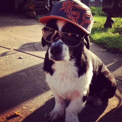 Profile Picture of seth guenther (@GuentherSeth) on Twitter