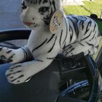 Steve Ruegg - Facebook Profile Picture of Steve Ruegg (@steve.ruegg.16) on Facebook