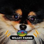 Profile Picture of Bobbie Willey Stump (@justlikemoms) on Instagram