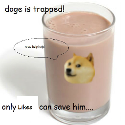 Profile Picture of James Harkin (@jamesharkin22) on Twitter