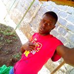 Profile Picture of orchardsteven (@orchardsteven11) on Instagram