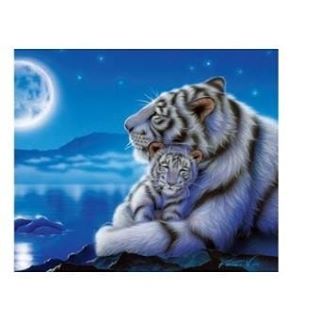 Profile Picture of Daniel Allart (@daniel.allart.129) on Facebook