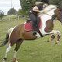 Profile Picture of Hazel Middleton (@hazel-middleton-1) on Quora