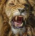 Profile Picture of Bharath Kumar (@bharath.kumar.7524) on Facebook