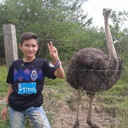 Profile Picture of Gregory Ramirez (@carden_ramirez) on Twitter